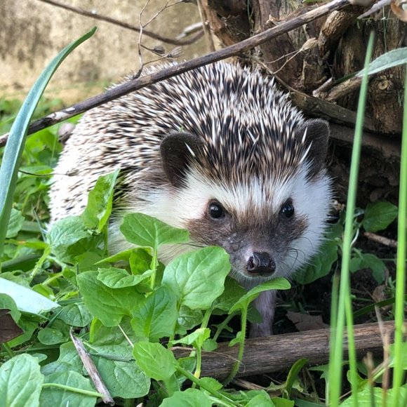 Meet your Posher, Claire - Picture 6 of 7